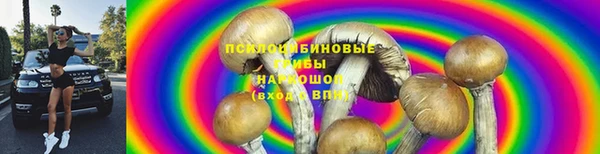 прущие крисы Аркадак