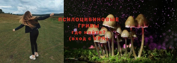 гидропоника Арсеньев