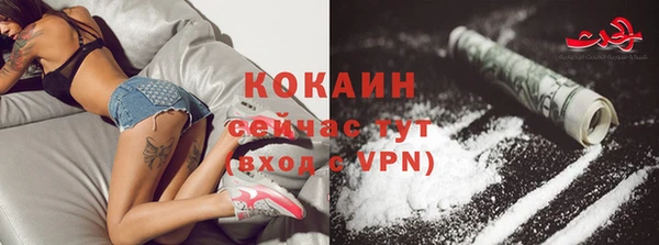 индика Армянск