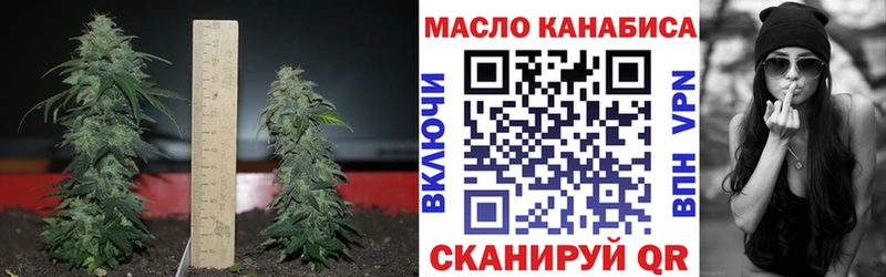 ТГК жижа  купить закладку  Суздаль 